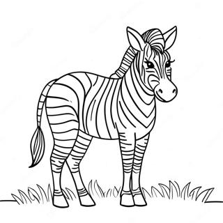 Zebra Med Fargglada Rander Farglaggningssida 10618-8709