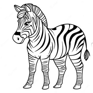 Zebra Med Fargglada Rander Farglaggningssida 10618-8711