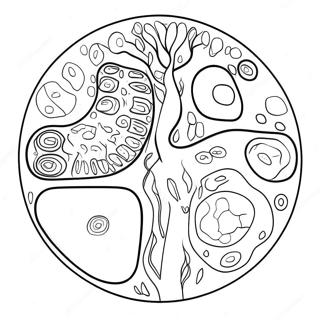 Vaxtcell Diagram Malarbild 10817-8866