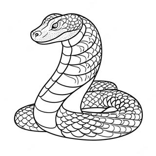 Anaconda Malarbild 16331-13774