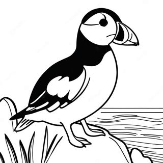 Puffin Rock Malarbild 16652-14023