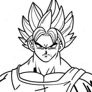 Vegito Farglaggningssida 17785-14912