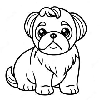 Shih Tzu Valp Malarbild 19318-16142