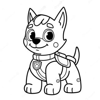 Rocky Paw Patrol Målarbilder