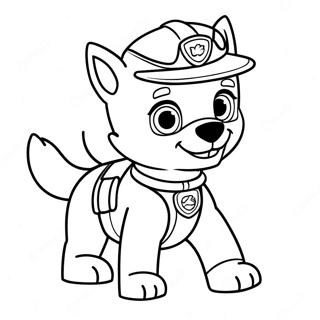 Rocky Paw Patrol I Aktion Malarbild 20783-19241