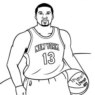 New York Knicks Målarbilder