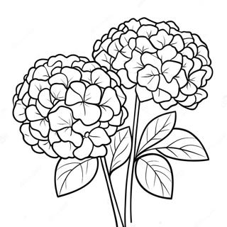 Vacker Hortensia Bukett Farglaggningssida 36184-30181