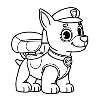 Paw Patrol Zuma Målarbilder