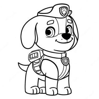 Farglaggning Av Paw Patrol Zuma 40437-33518