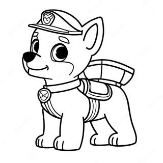 Farglaggning Av Paw Patrol Zuma 40437-33519