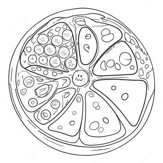 Djurcell Diagram Malarbild 40618-33662