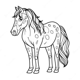 Appaloosa Hast Malarbild 41709-34603