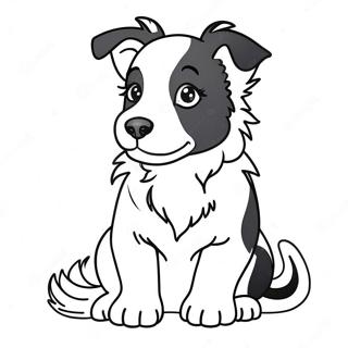 Border Collie Valp Malarbok 43802-36436