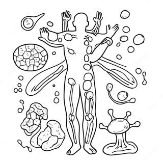 Immunsystem Diagram Malarbild 46263-38530