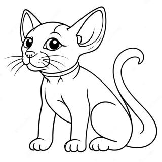 Sphynx Katt Malarbild 47383-39432