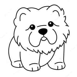 Chow Chow Målarbilder