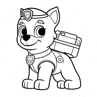 Paw Patrol Alla Hjartans Dag Malarbok 52346-43548