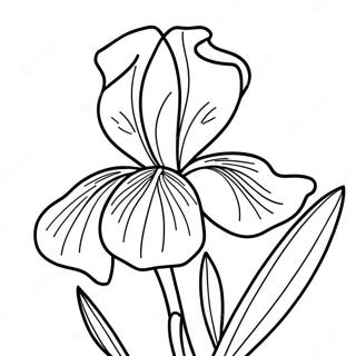 Irisblomma Malarbok 52606-43756