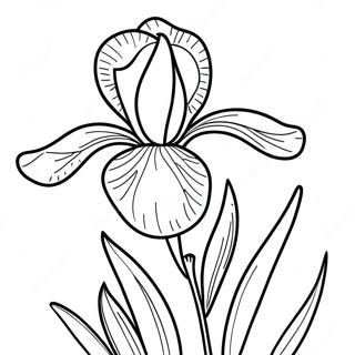 Vacker Irisblomma Malarbok 52607-43758