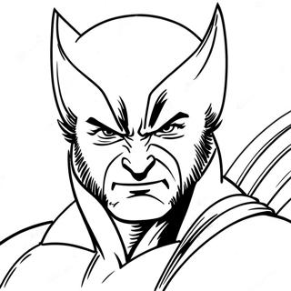 Wolverine Djur Malarbild 52866-43963