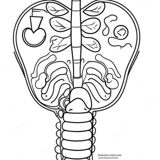 Matsmaltningssystem Diagram Malarbok 53638-44711