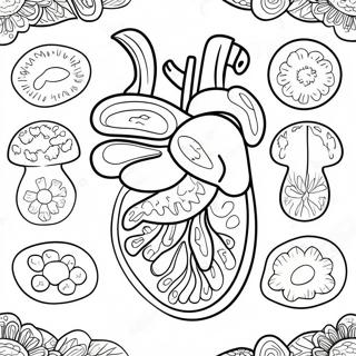 Fargglada Matsmaltningsorgan Malarbok 53639 44716