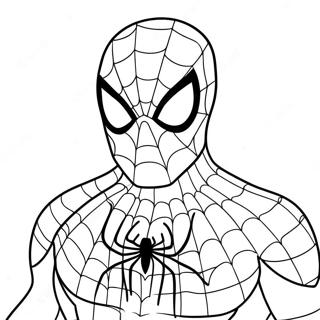 Spiderman Malarbild 6064-4843