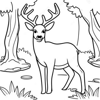 Mule Deer I En Skog Malarbok 61836-51246