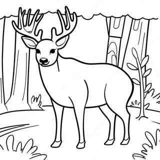 Mule Deer I En Skog Malarbok 61836-51247