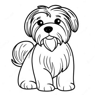 Havanese Hund Malarbok 62267-51600