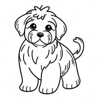 Sot Havanese Valp Malarbok 62268-51584