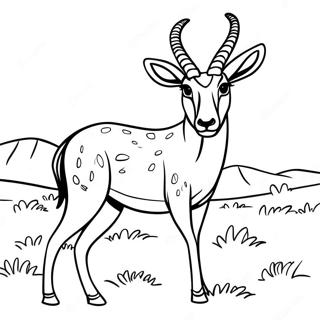 Majestatisk Antelope I Det Vilda Malarbild 62648-51890