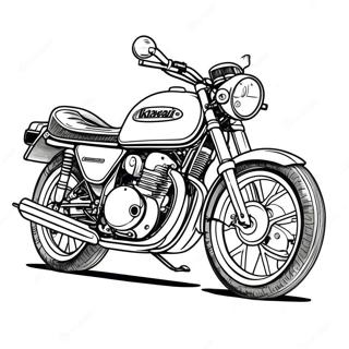 Klassisk Kawasaki Motorcykel Farglaggningssida 66851-55195