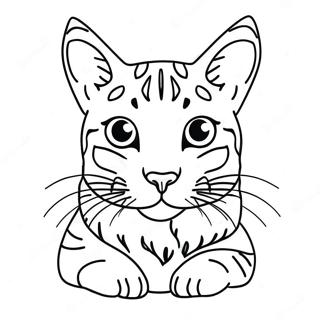 Bengalkatt Malarbild 69893-57804