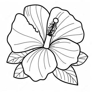 Hibiskusblomma Malarbok 7044-5730