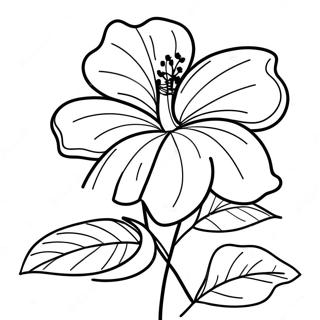 Hibiskusblomma Malarbok 7044-5731