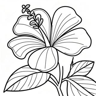 Hibiskusblomma Malarbok 7044-5732