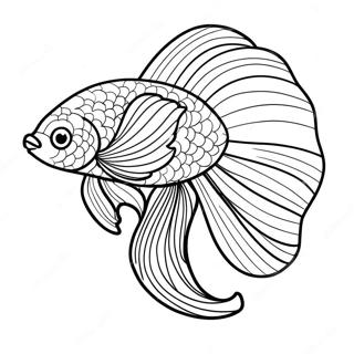 Fargglad Betta Fisk Med Flodande Fenor Malarbild 71044-58721