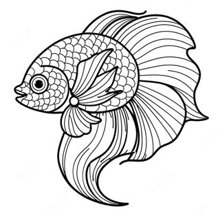 Fargglad Betta Fisk Med Flodande Fenor Malarbild 71044-58722