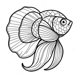 Fargglad Betta Fisk Med Flodande Fenor Malarbild 71044-58723