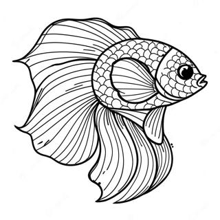 Fargglad Betta Fisk Med Flodande Fenor Malarbild 71044-58724