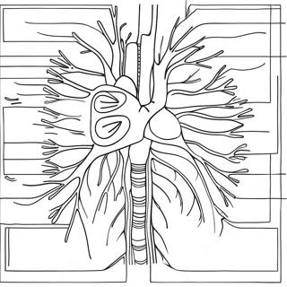 Cirkulationssystemets Diagram Malarbild 73324-60542