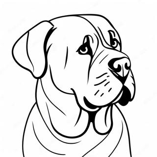 Engelsk Mastiff Målarbilder